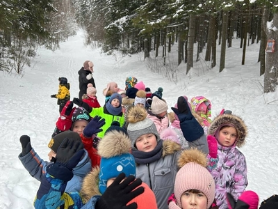 Долина ручьев