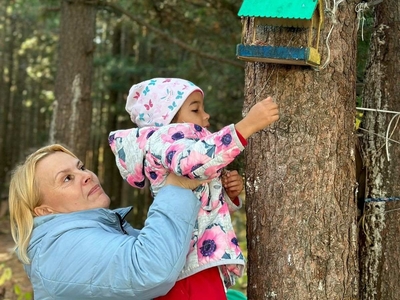 Долина ручьев