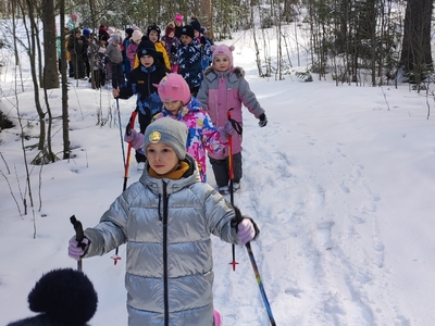 Долина ручьев