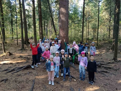 Долина ручьев