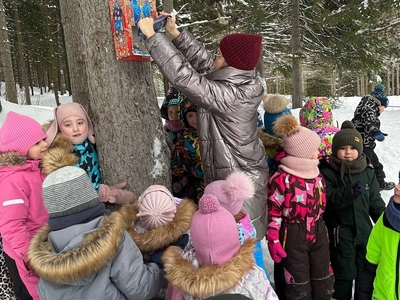 Кормление птиц и белок