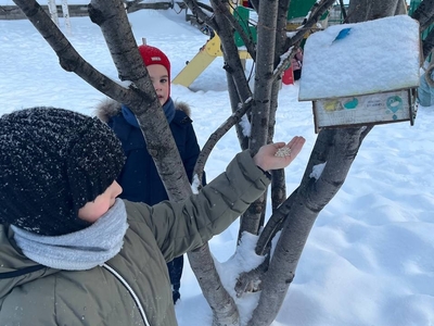 Прикорм пернатых