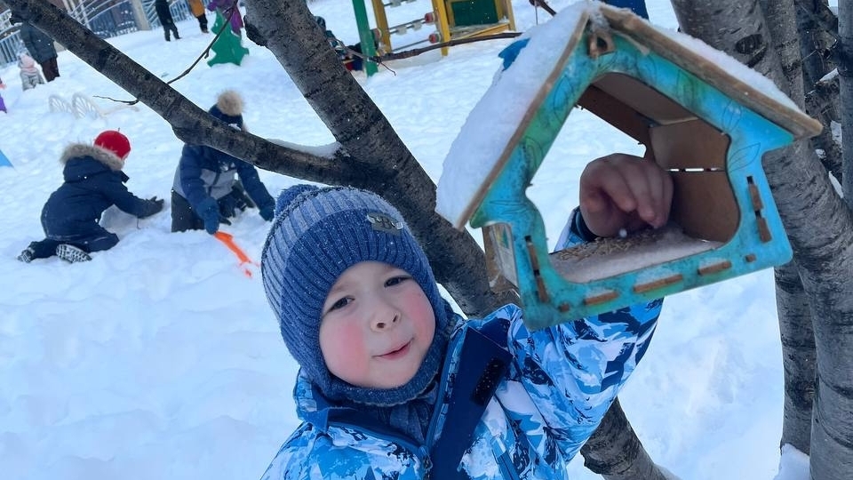 Акция «Покормите птиц зимой»